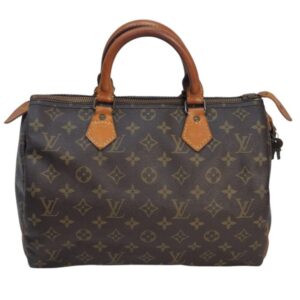 Louis Vuitton Borsa Speedy 30 Monogram