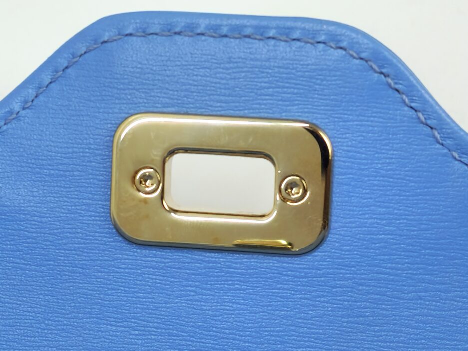 Gucci Borsa Luce Small Edizione limitata in Tela e Pelle - immagine 14